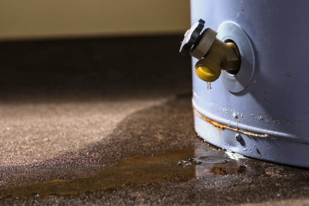 Carpet water damage restoration in Cranford, NJ