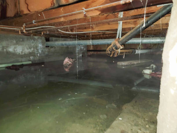 Best Emergency water damage restoration  in Cranford, NJ