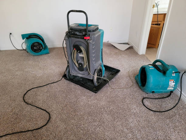 Best 24-hour water damage restoration  in Cranford, NJ