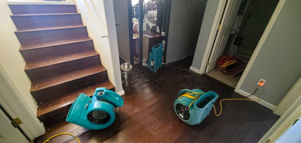 Best Basement water damage restoration  in Cranford, NJ