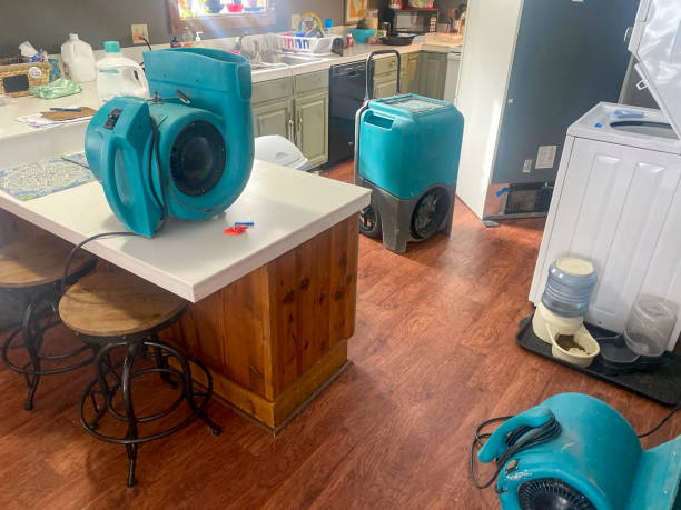  Cranford, NJ Water damage restoration Pros