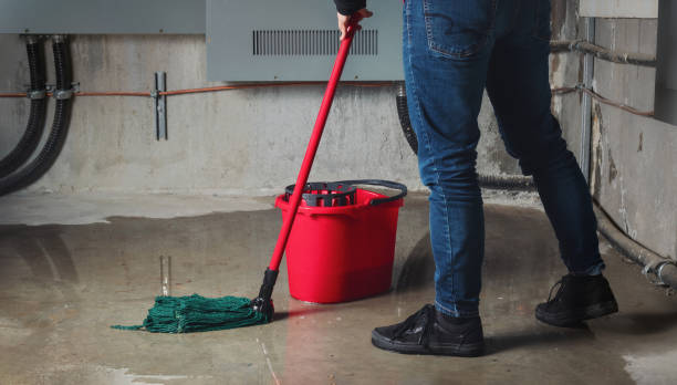 Best Flood damage cleanup  in Cranford, NJ