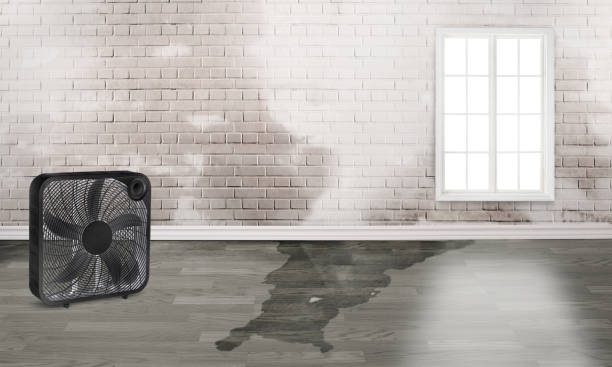 Best Commercial water damage restoration  in Cranford, NJ