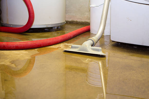 Best Carpet water damage restoration  in Cranford, NJ