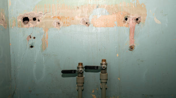 Best Fire Damage Restoration  in Cranford, NJ