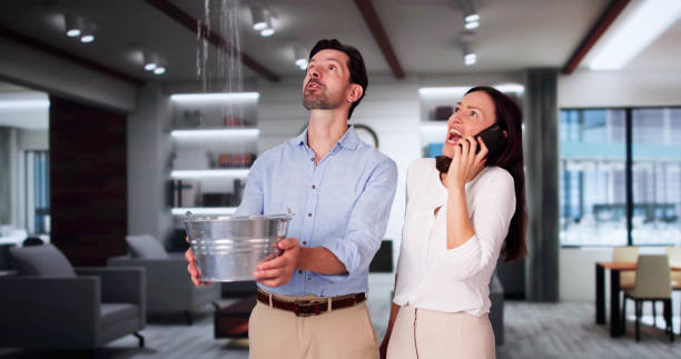 Best Professional water damage repair  in Cranford, NJ