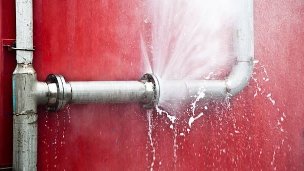 Best Local water damage restoration  in Cranford, NJ