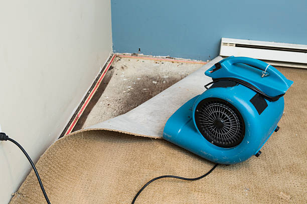 Best Ceiling water damage repair  in Cranford, NJ